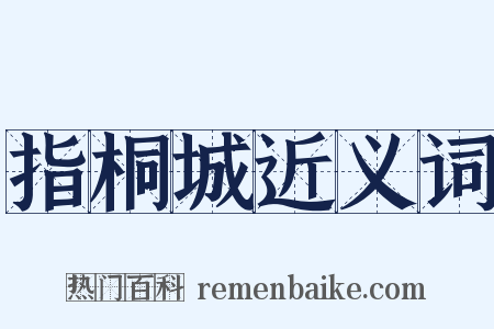指桐城近义词是什么意思的图片